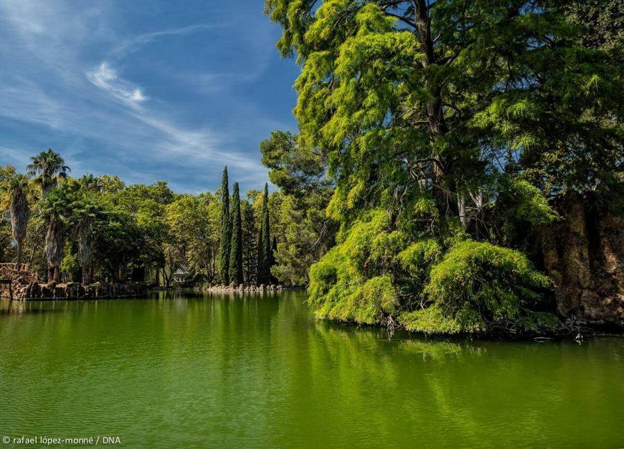 Parc Samà