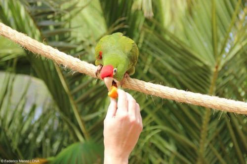 Parc Sama Aviario