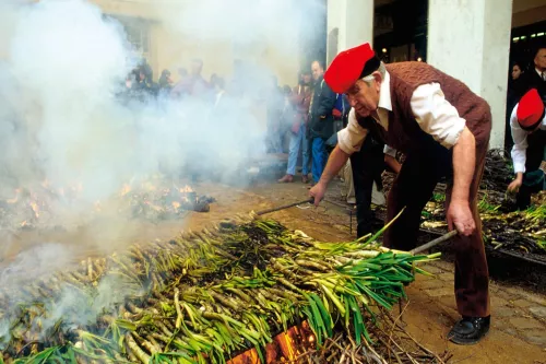 Calçotada Valls