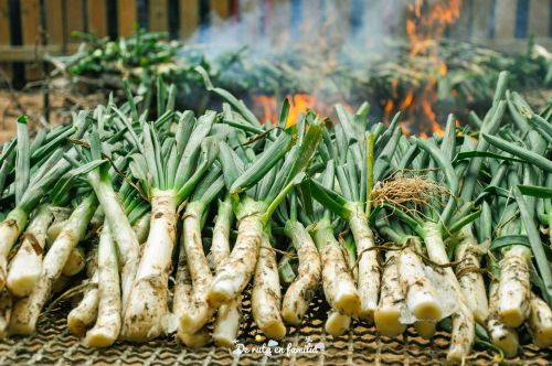 calçots